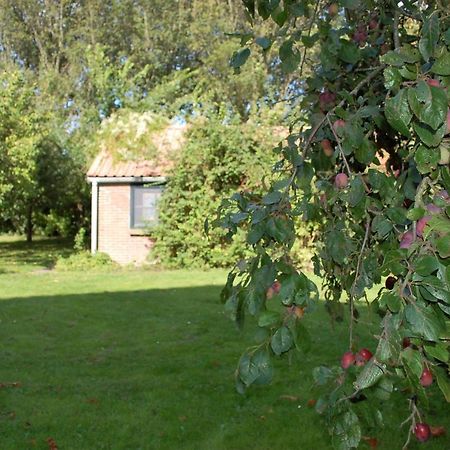 Vita Nova Hippolytushoef Exterior foto